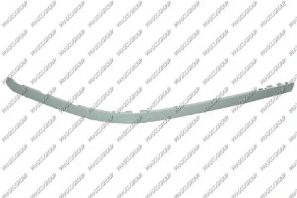 Trim/Protection Strip, bumper (BM0451241)