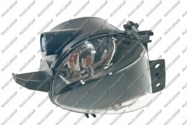 Front Fog Light (BM0244413)