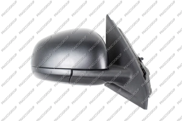 Exterior Mirror (RN2027003)