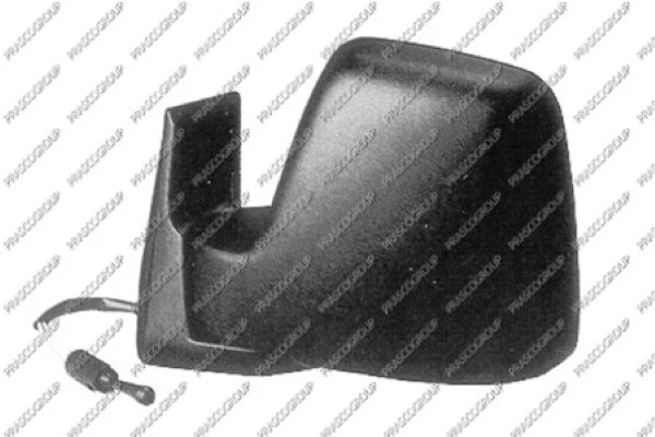 Exterior Mirror (FT9217114)