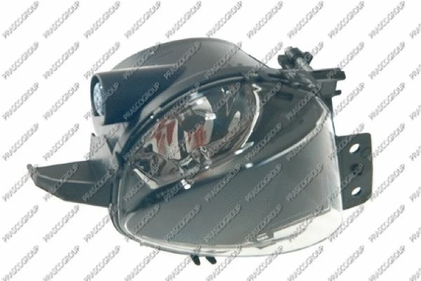 Front Fog Light (BM0244415)