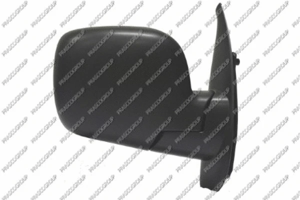 Exterior Mirror (RN9187303)