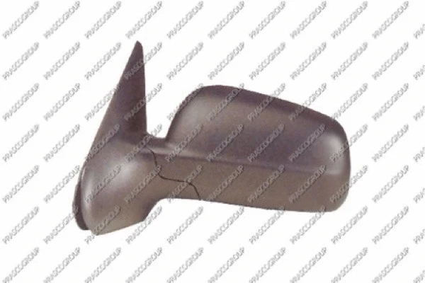 Exterior Mirror (ST0317314)