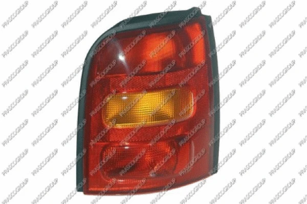 Tail Light Assembly (DS0074053)