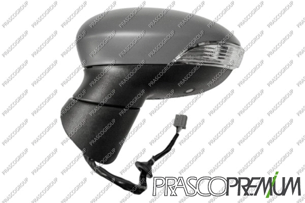 Exterior Mirror (FD3467344P)