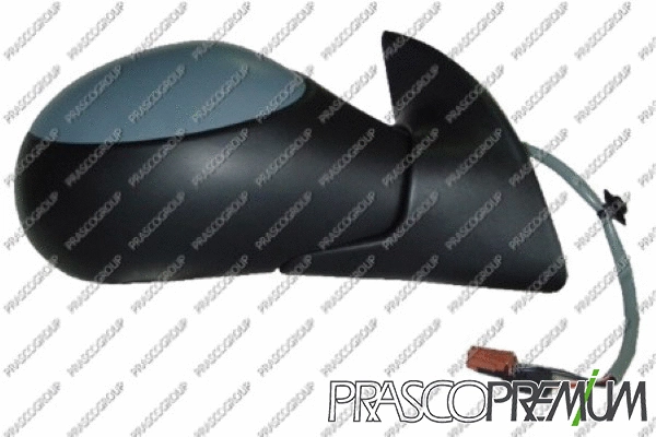 Exterior Mirror (PG2207313P)