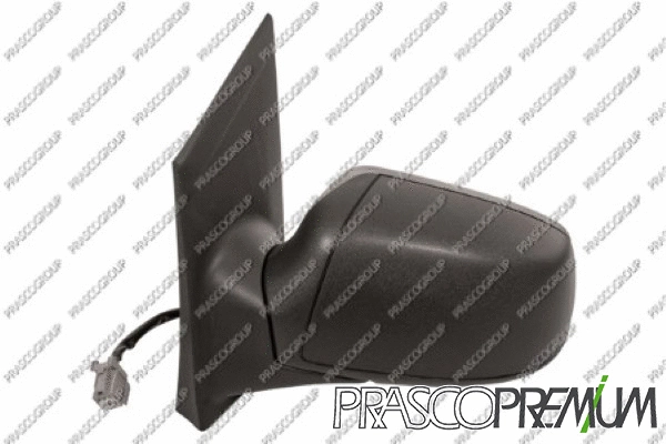 Exterior Mirror (FD4247304P)