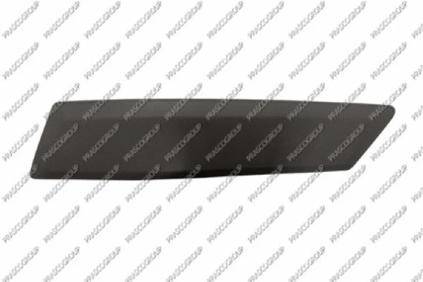 Trim/Protection Strip, bumper (FD3521253)