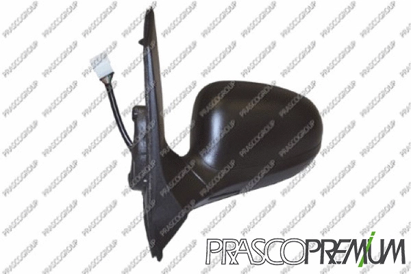 Exterior Mirror (FD0087204P)