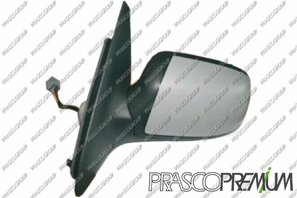Exterior Mirror (FD1097314P)