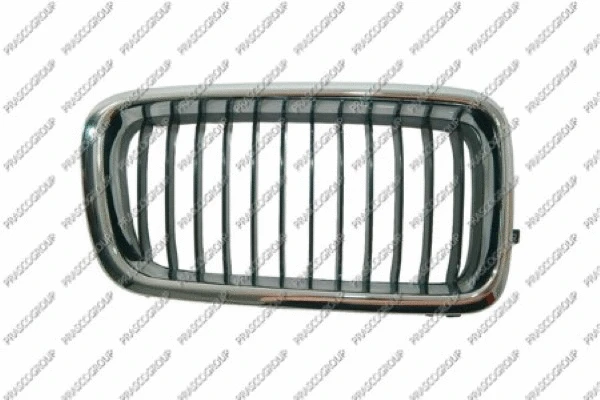Radiator Grille (BM0982003)