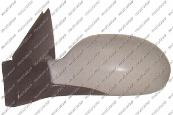 Exterior Mirror (CI5207324)