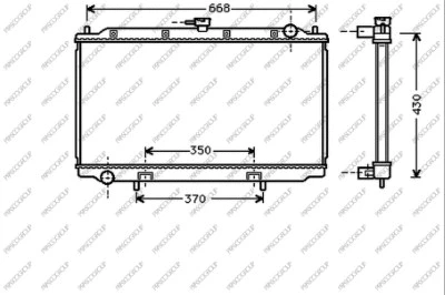 Radiator, engine cooling (DS175R001)