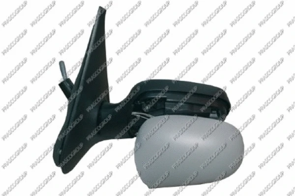 Exterior Mirror (RN3207124)