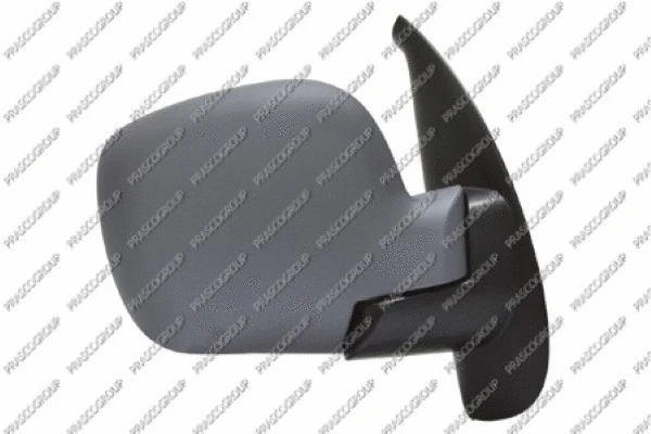 Exterior Mirror (RN9187013)