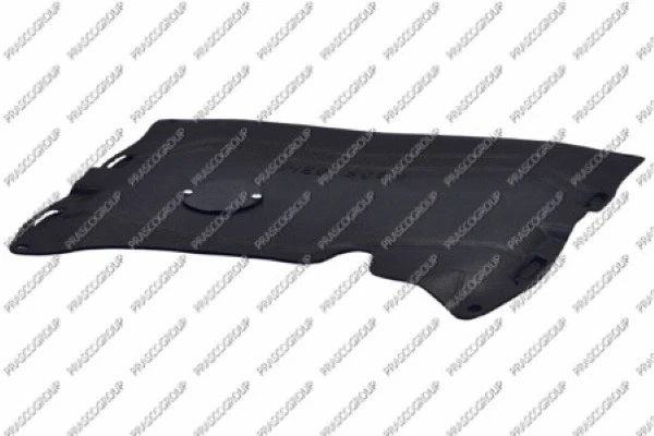 Engine Compartment Noise Insulation (RN0261900)