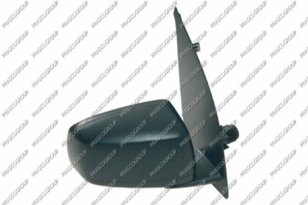 Exterior Mirror (FT1227003)