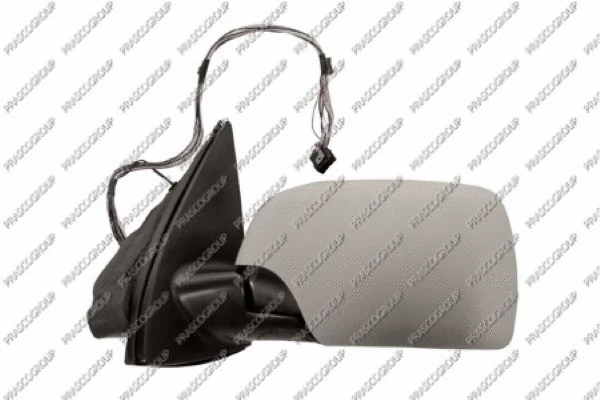 Exterior Mirror (BM8207344)