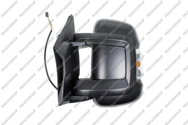 Exterior Mirror (FT9307314)