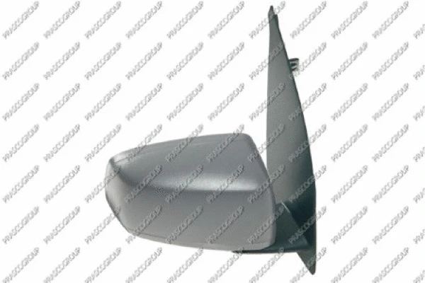 Exterior Mirror (FT1227323)