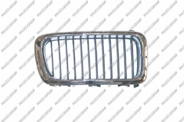 Radiator Grille (BM0972004)