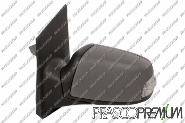 Exterior Mirror (FD4247344P)