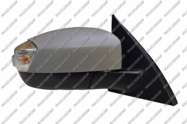 Exterior Mirror (FD7307353)