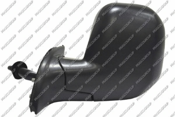 Exterior Mirror (CI9187114)