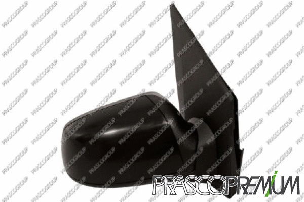 Exterior Mirror (FD3427313P)