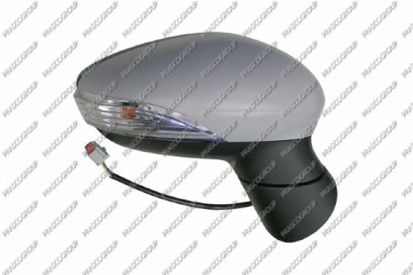 Exterior Mirror (FD3467313)