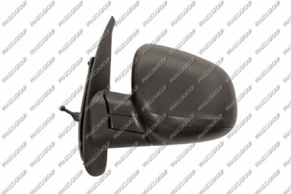 Exterior Mirror (RN9217004)
