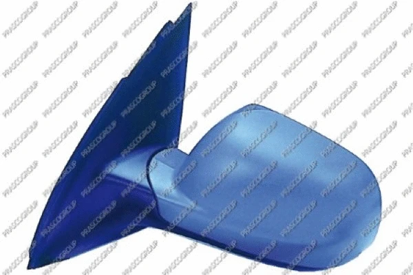 Exterior Mirror (VG3207314)