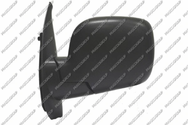 Exterior Mirror (RN9187304)