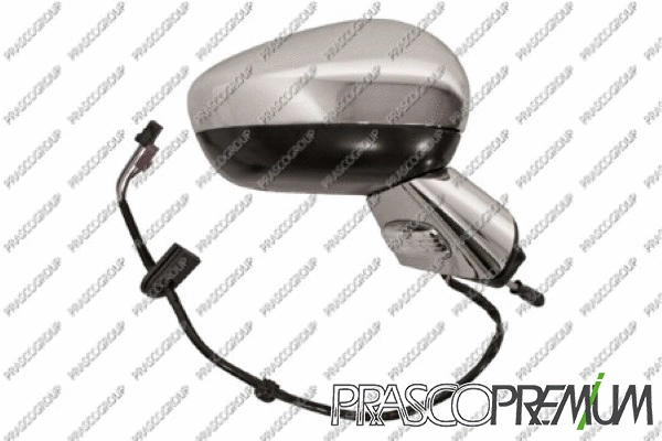 Exterior Mirror (CI3247353)