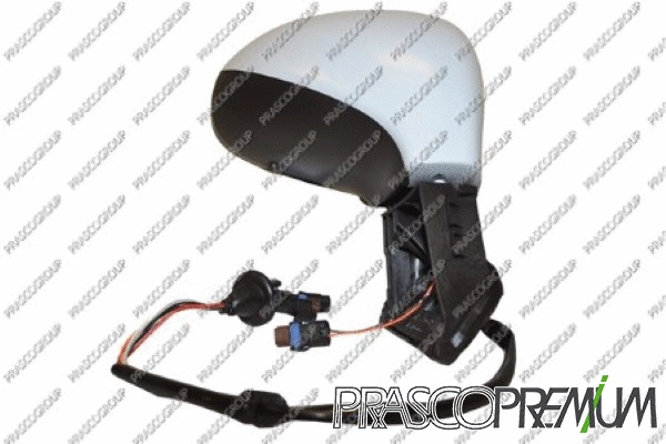 Exterior Mirror (PG4247313P)