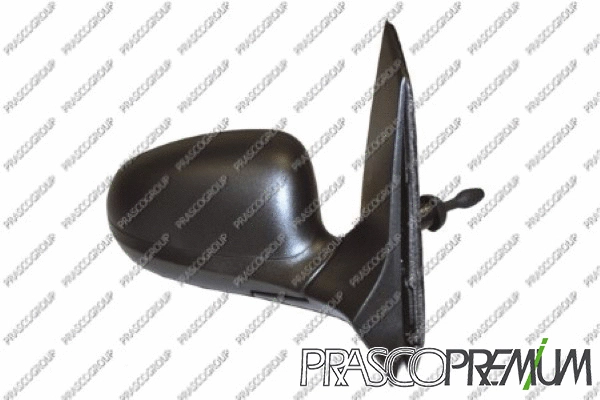 Exterior Mirror (FD0087113P)