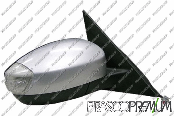 Exterior Mirror (FD0797313P)