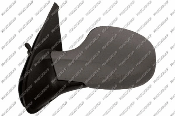 Exterior Mirror (RN3267124)