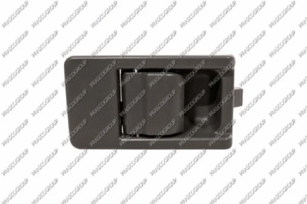 Door Handle, interior equipment (FT9208503)