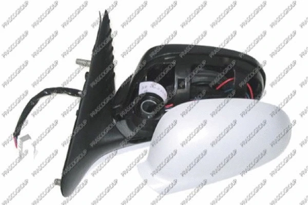 Exterior Mirror (PG0597313)