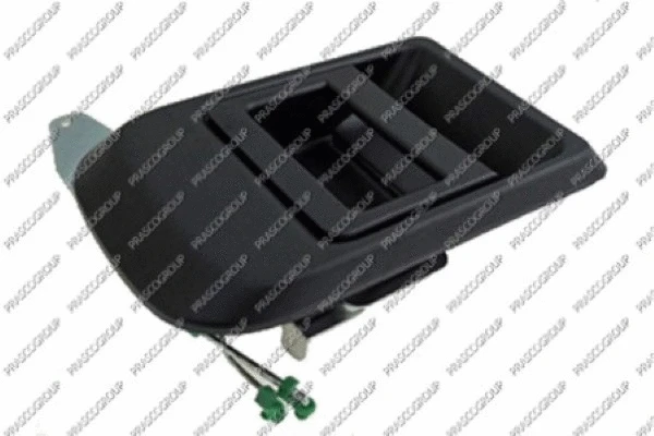 Exterior Door Handle (FT9268301)