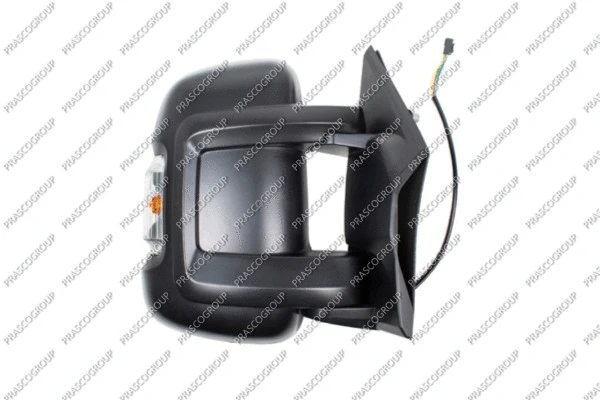 Exterior Mirror (FT9307313)