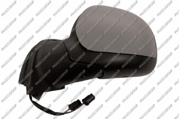 Exterior Mirror (CI3227334)