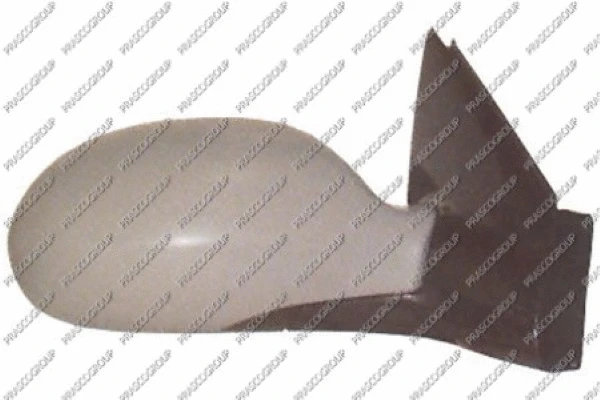 Exterior Mirror (CI5207323)