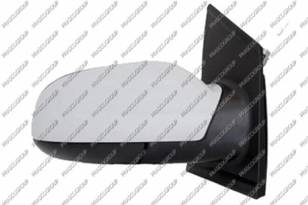 Exterior Mirror (VG3307013)
