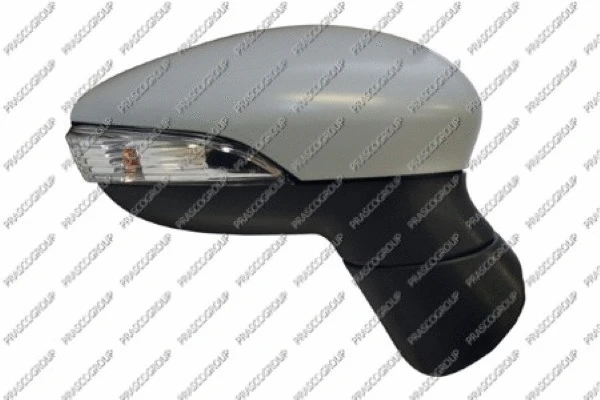 Exterior Mirror (FD3447313)