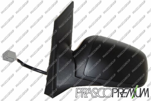 Exterior Mirror (FD4247314P)