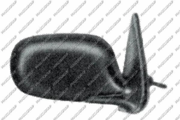 Exterior Mirror (DS0057114)