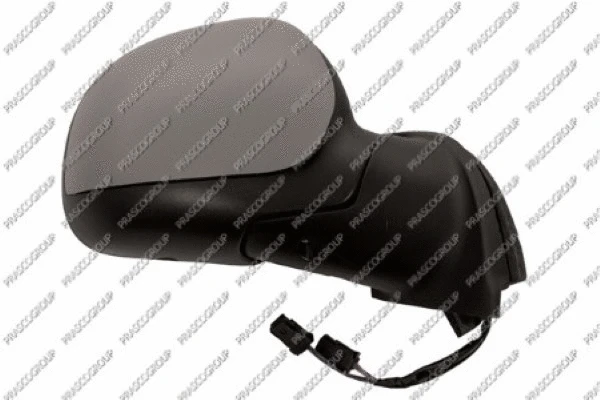 Exterior Mirror (CI3227333)