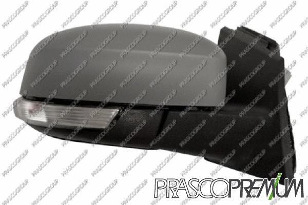 Exterior Mirror (FD4287323P)